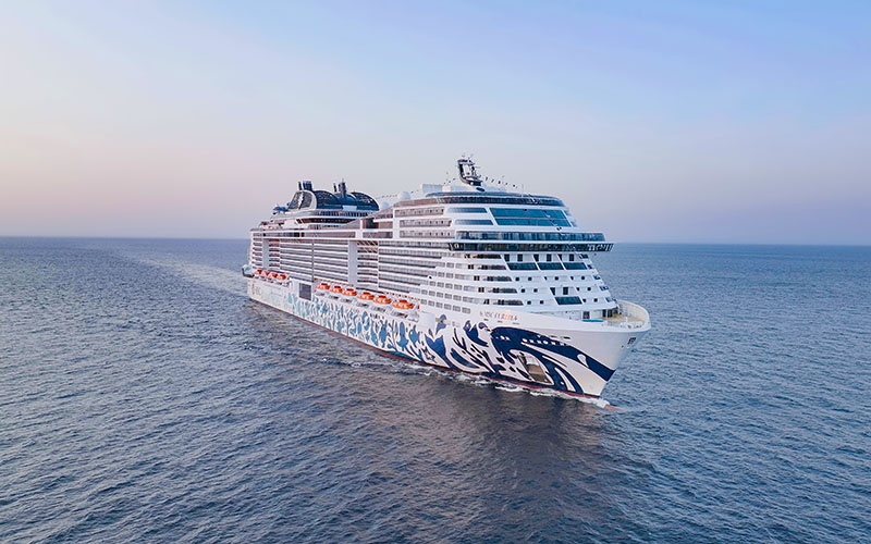 MSC Euribia 43